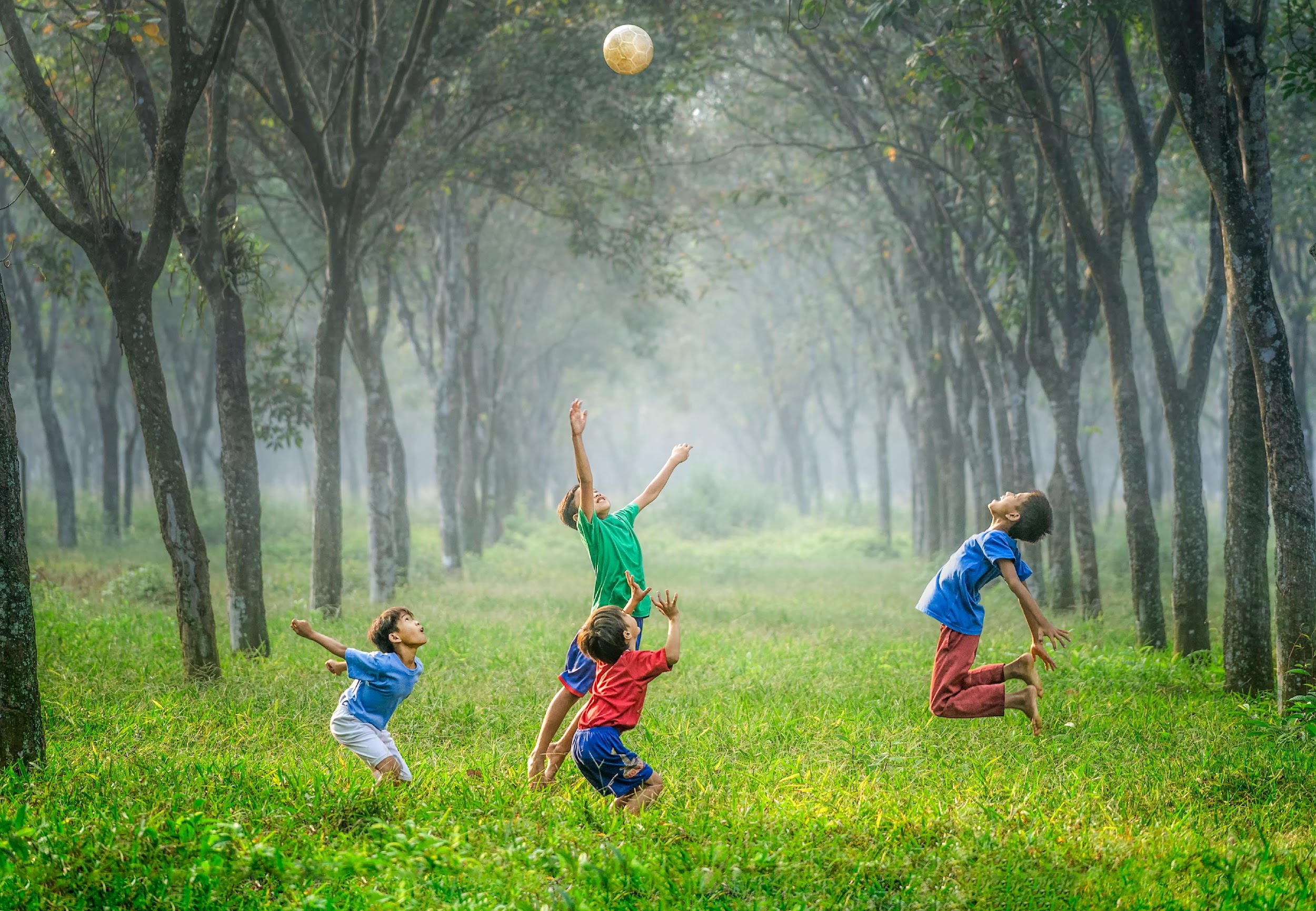 Children playing among trees in a park